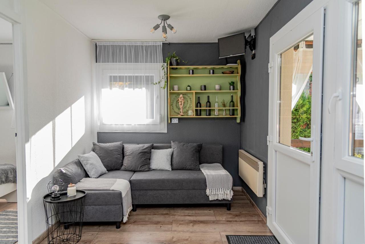 Amica Vendeghaz Villa Zalakaros Bagian luar foto